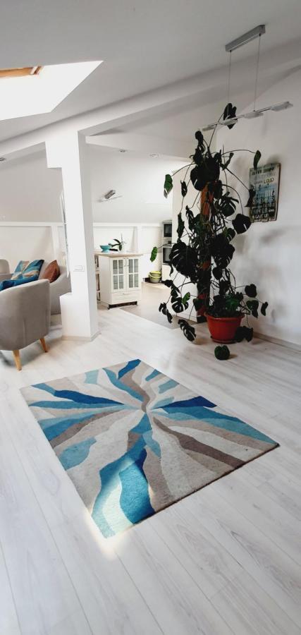 בוקרשט Johanna House מראה חיצוני תמונה